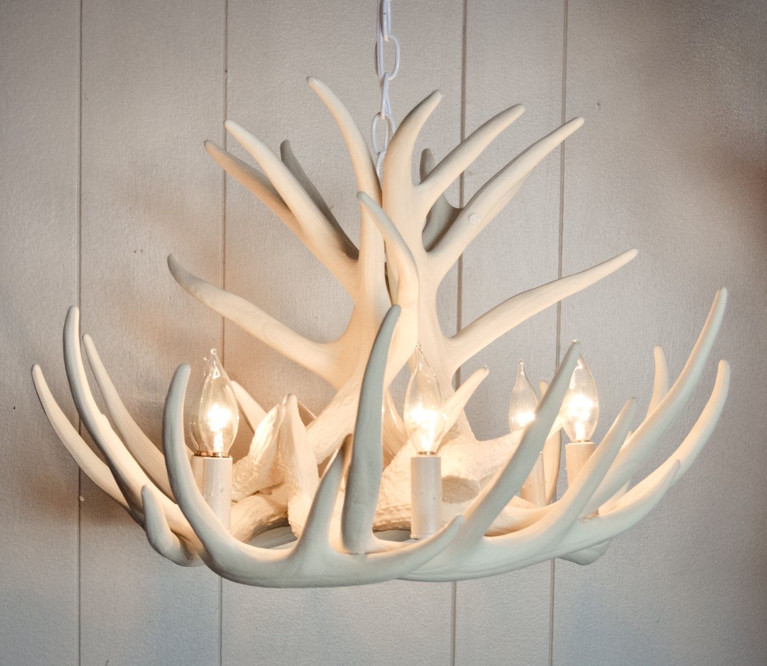 Lamp Deer Horn Chandelier With Authentic Look For Your Lighting Throughout Stag Horn Chandelier (Photo 4 of 12)
