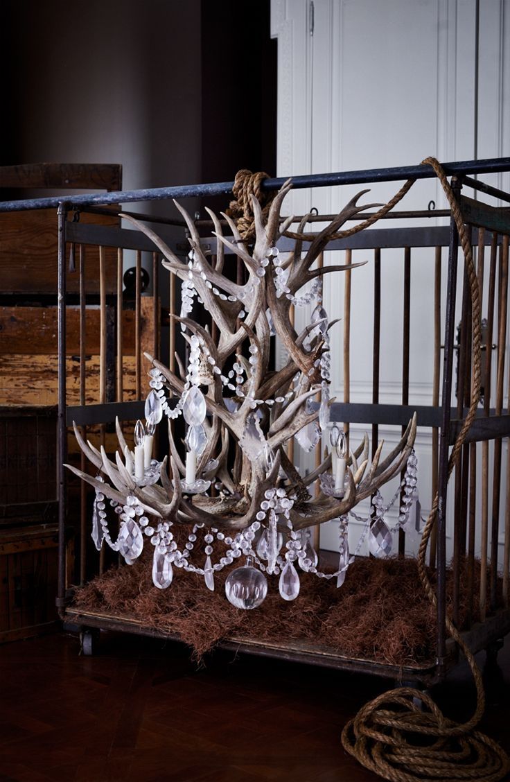 Ralph Lauren Homes Stag Chandelier Combines Naturally Shed Regarding Stag Horn Chandelier (Photo 7 of 12)
