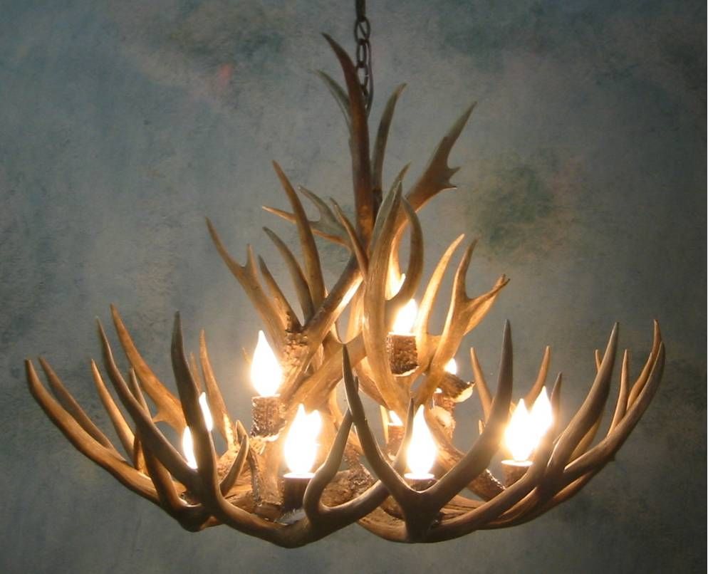 Antler Chandeliers For Sale Real Mccoy Throughout Antlers Chandeliers (Photo 5 of 12)