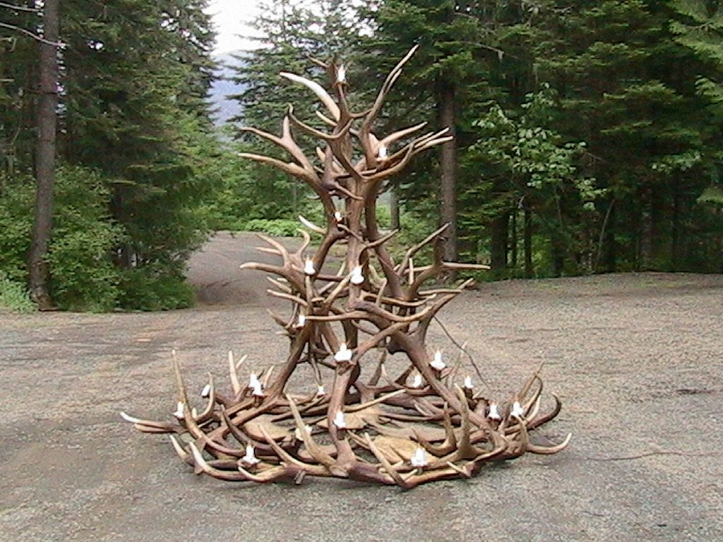 Featured Photo of 12 Ideas of Large Antler Chandelier
