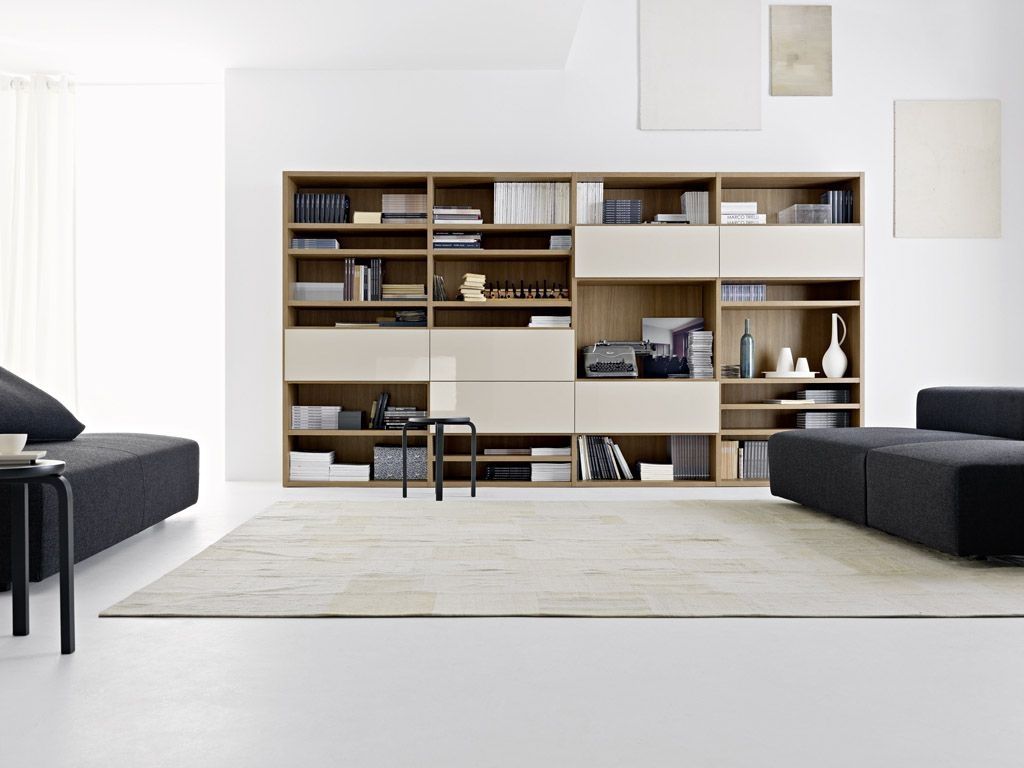 Clever Design Storage For Living Room Fine Storage Units Living Room Within Living Room Storage Units (View 2 of 15)