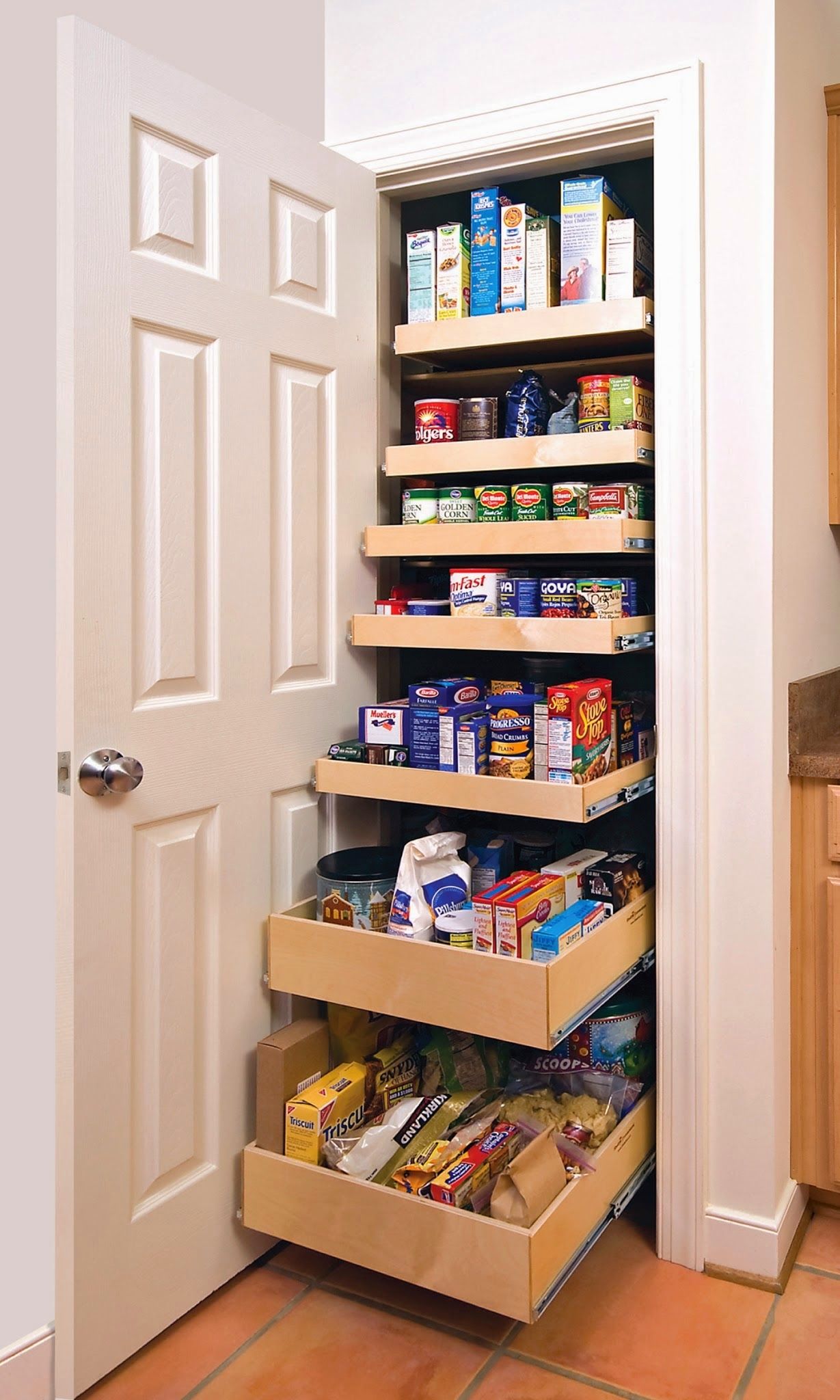 Minimalist Kitchen Pantry Storage Ideas Nz for Simple Design