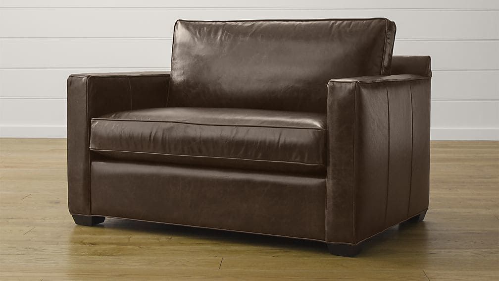 Davis Leather Twin Sleeper Sofa Crate And Barrel With Regard To Twin Sleeper Sofa Chairs (View 1 of 15)