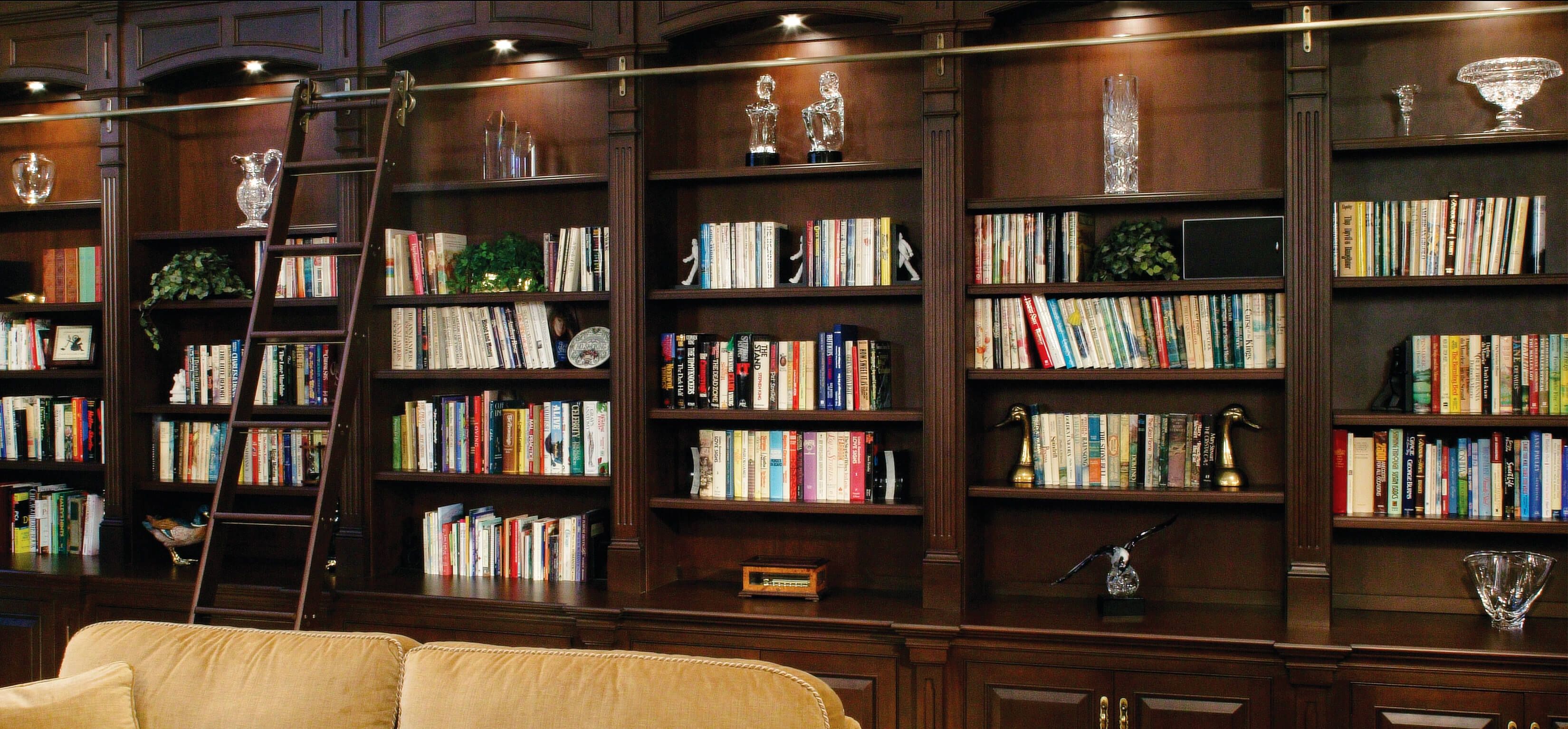 Design A Striking Home Library Shelves And Cabinets With Home Library Shelving (Photo 1 of 15)