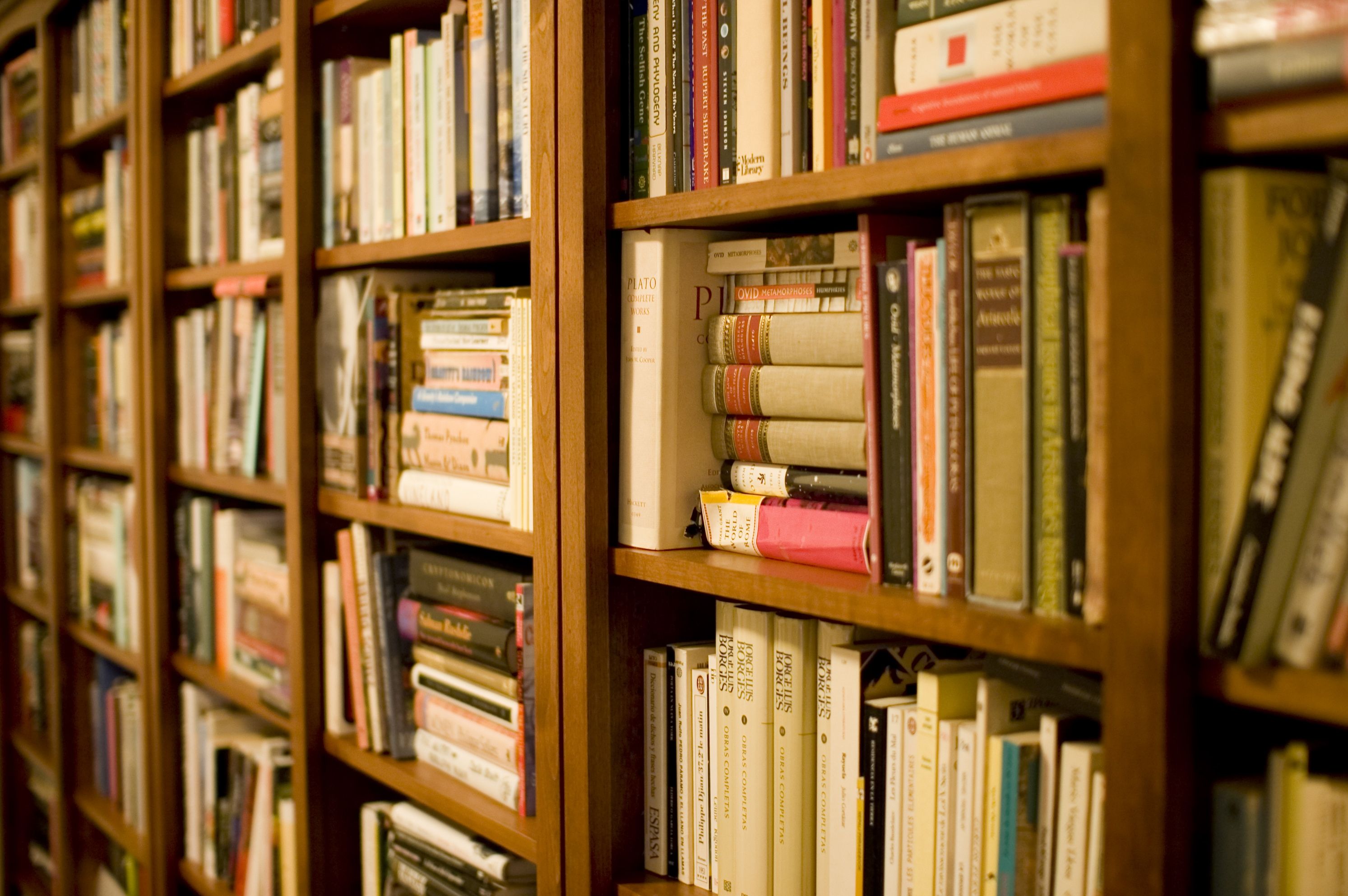 Featured Photo of 15 Ideas of Bookshelf