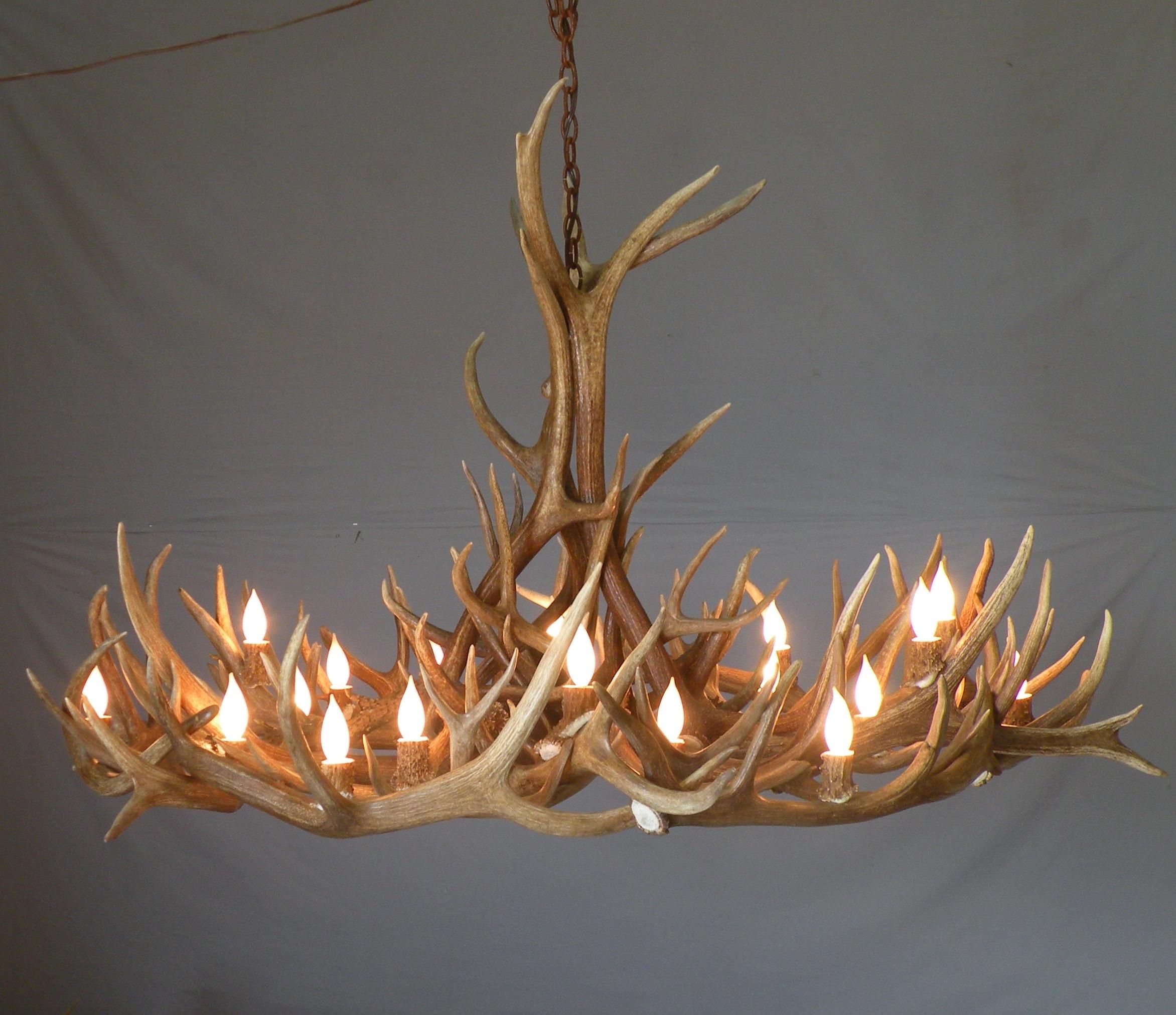 Lamp Deer Horn Chandelier With Authentic Look For Your Lighting Within Antlers Chandeliers (Photo 1 of 12)