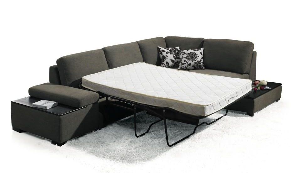 Modern Contemporary Leather Sleeper Sofa Beds Designer Leather Inside Sofas With Beds (Photo 1 of 15)