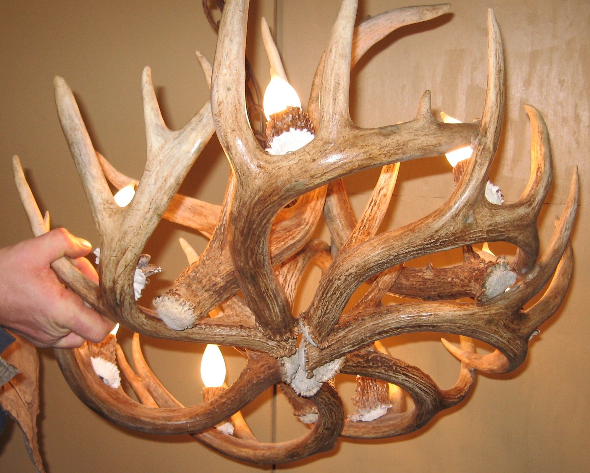 Round Whitetail Deer Antler Chandelier Intended For Antlers Chandeliers (View 4 of 12)
