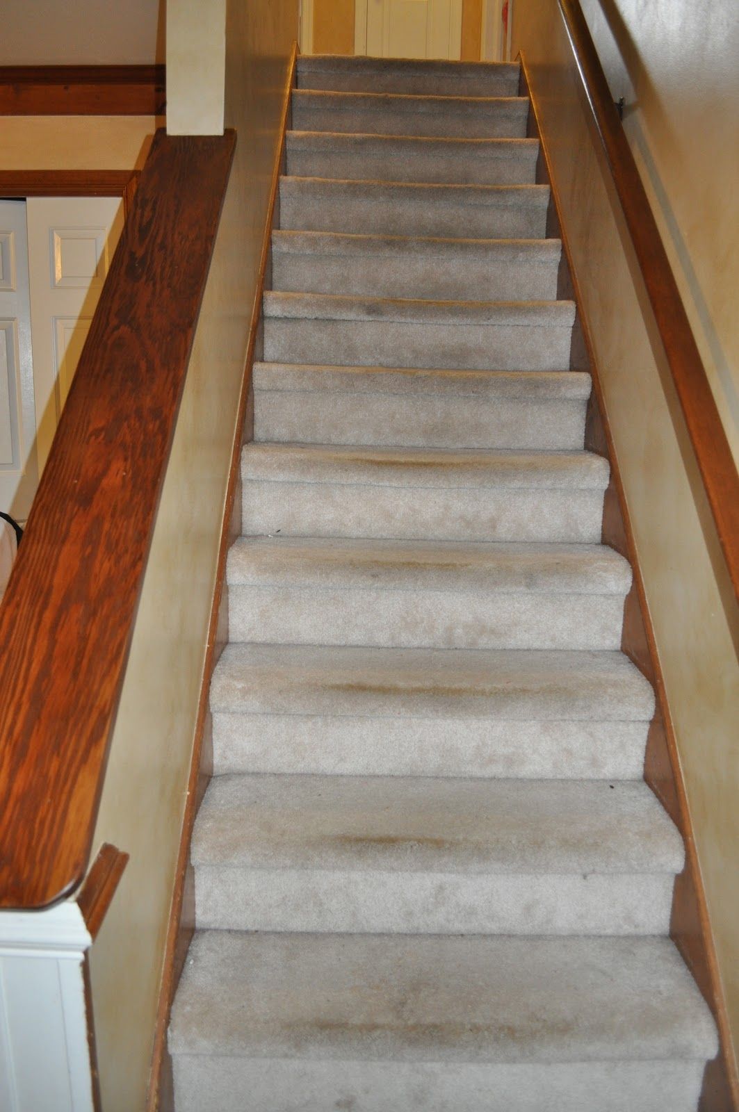 Carpet Stair Treads Make Your Own Carpet Stair Treads U2014 With Regard To Bullnose Stair Tread Rugs (View 3 of 20)