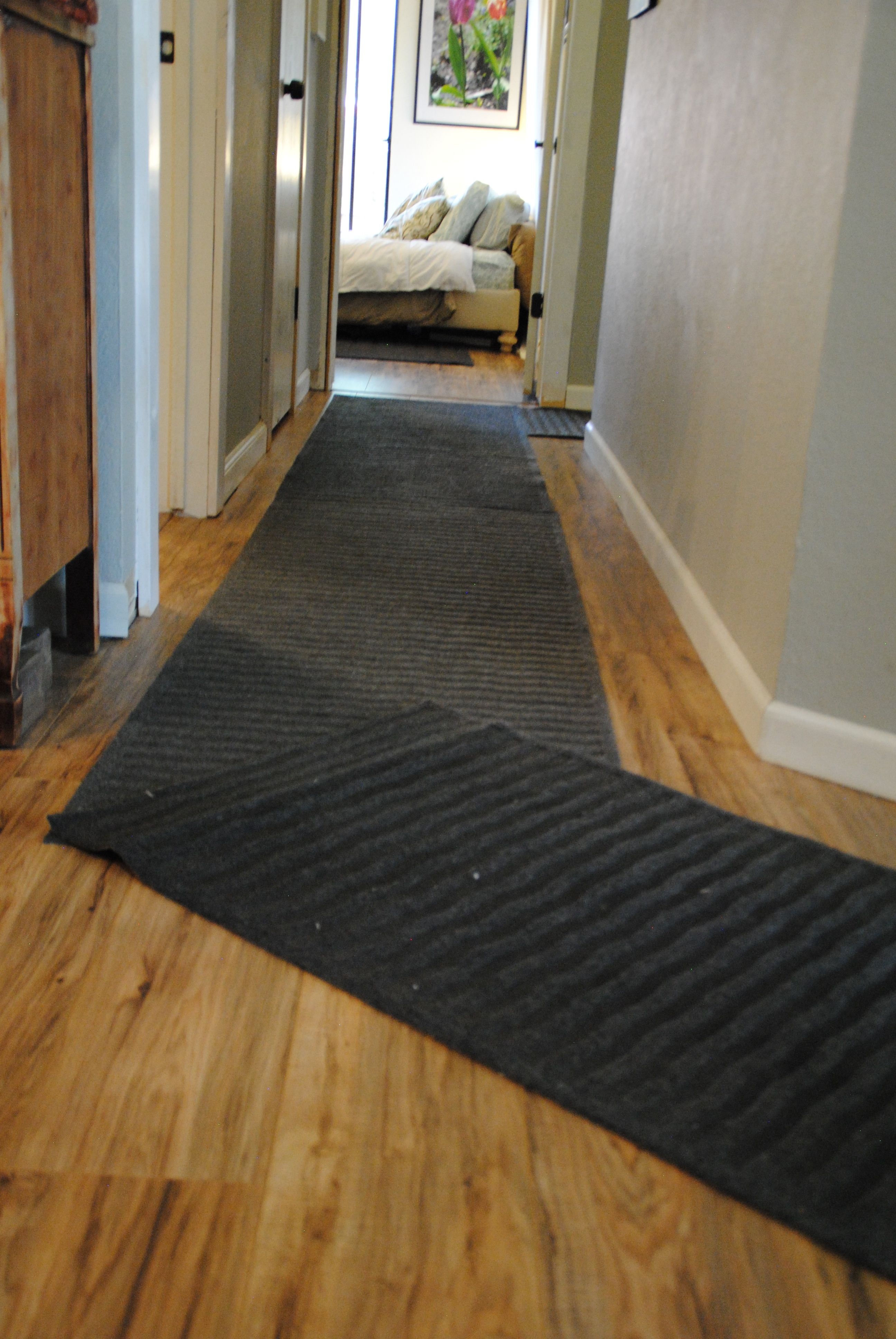 Flooring Lovely Hallway Runners For Floor Decor Idea For Hallway Runners For Dogs (Photo 1 of 20)