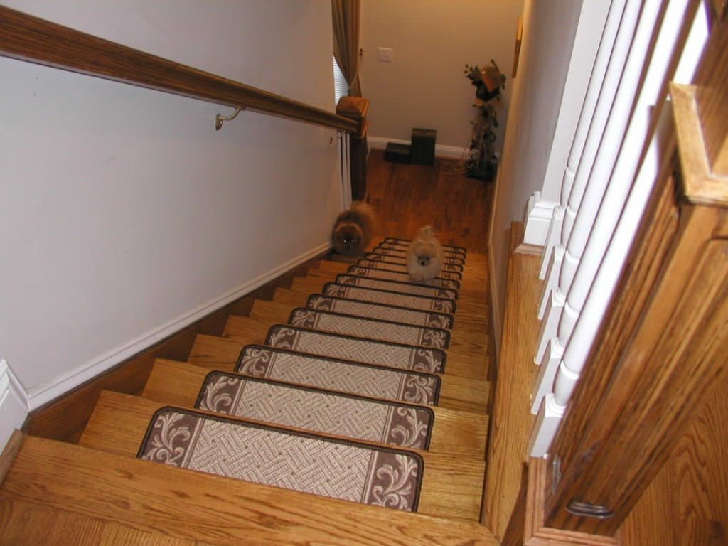 Perfect Bullnose Carpet Stair Treads Modern Carpet Treads For Within Removable Carpet Stair Treads (View 3 of 20)