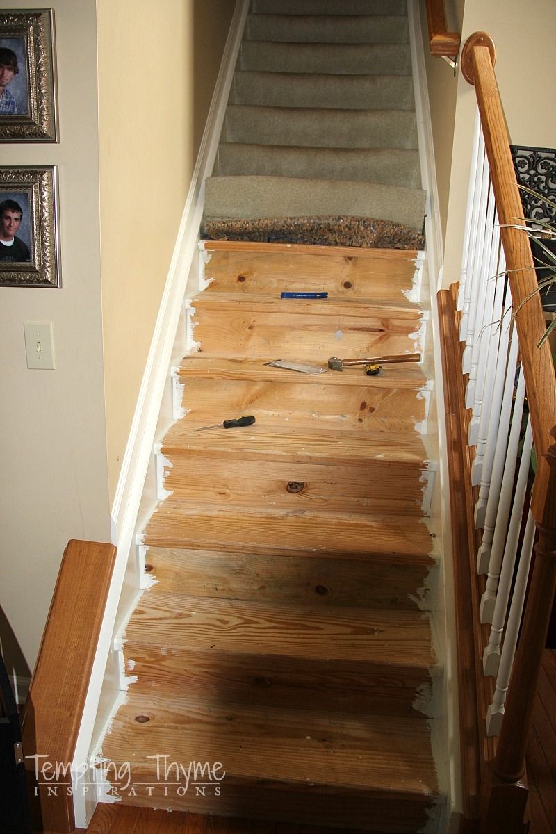Stair Project Begins Removing The Carpet And Prepping The Wood Intended For Carpet For Wood Stairs (Photo 7 of 20)