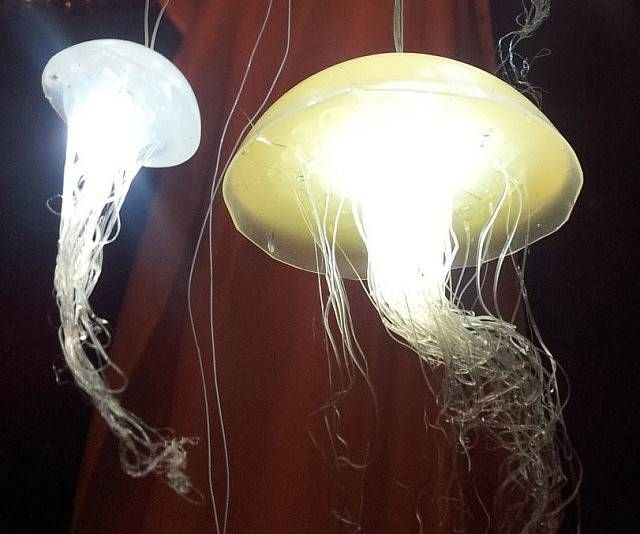 Up Hanging Jellyfish Inside Jellyfish Pendant Lights (View 5 of 15)