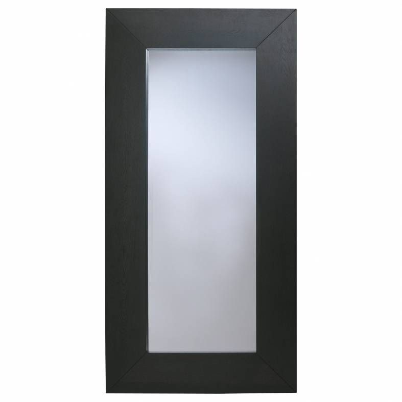 Full Length Wall Mirror Ikea | Mirrors Designs And Ideas For Ikea Full Length Wall Mirrors (Photo 12 of 15)