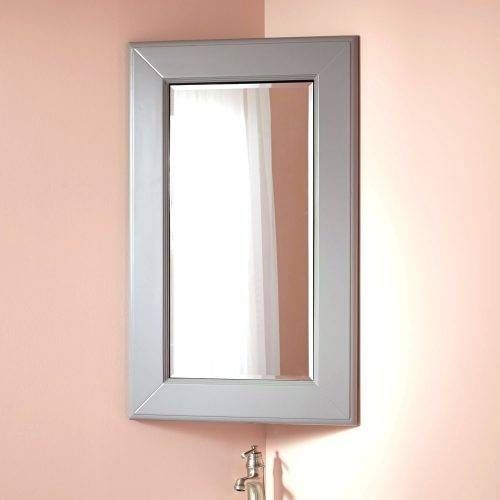 Wall Mirrors ~ The Delightful Images Of Full Length Adjustable Throughout Adjustable Wall Mirrors (View 7 of 15)