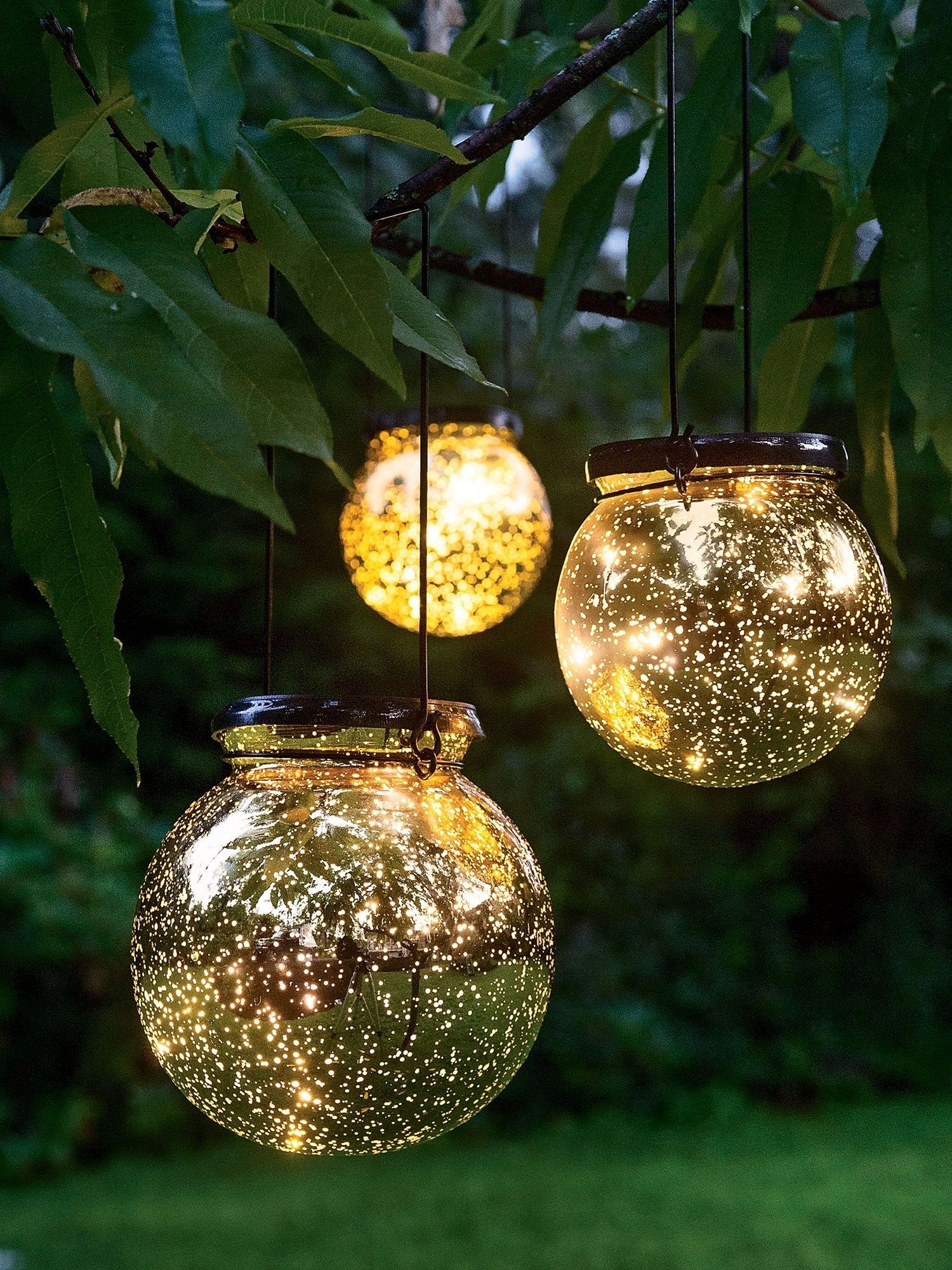 Awesome Garden Lights For Your Sweet Backyard | Solar Lights Intended For Hanging Lights In Outdoor Trees (View 14 of 15)