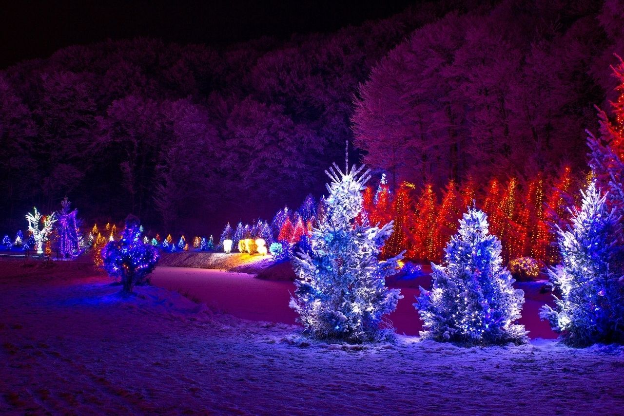 Best Led Lights For Outdoor Trees • Outdoor Lighting Throughout Hanging Outdoor Christmas Tree Lights (Photo 9 of 15)