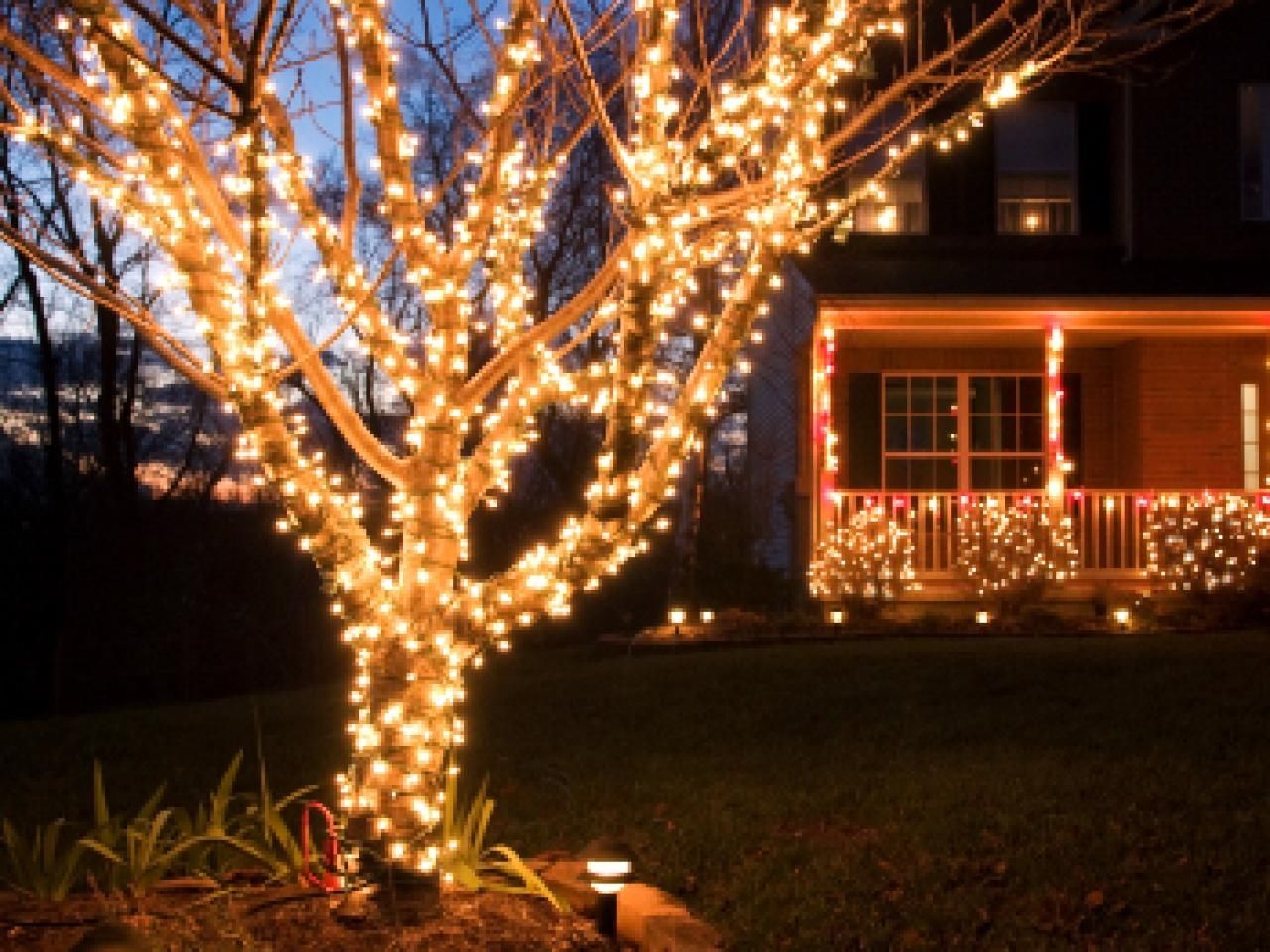 Buyers Guide For The Best Outdoor Christmas Lighting | Diy Throughout Hanging Lights In Outdoor Trees (Photo 3 of 15)