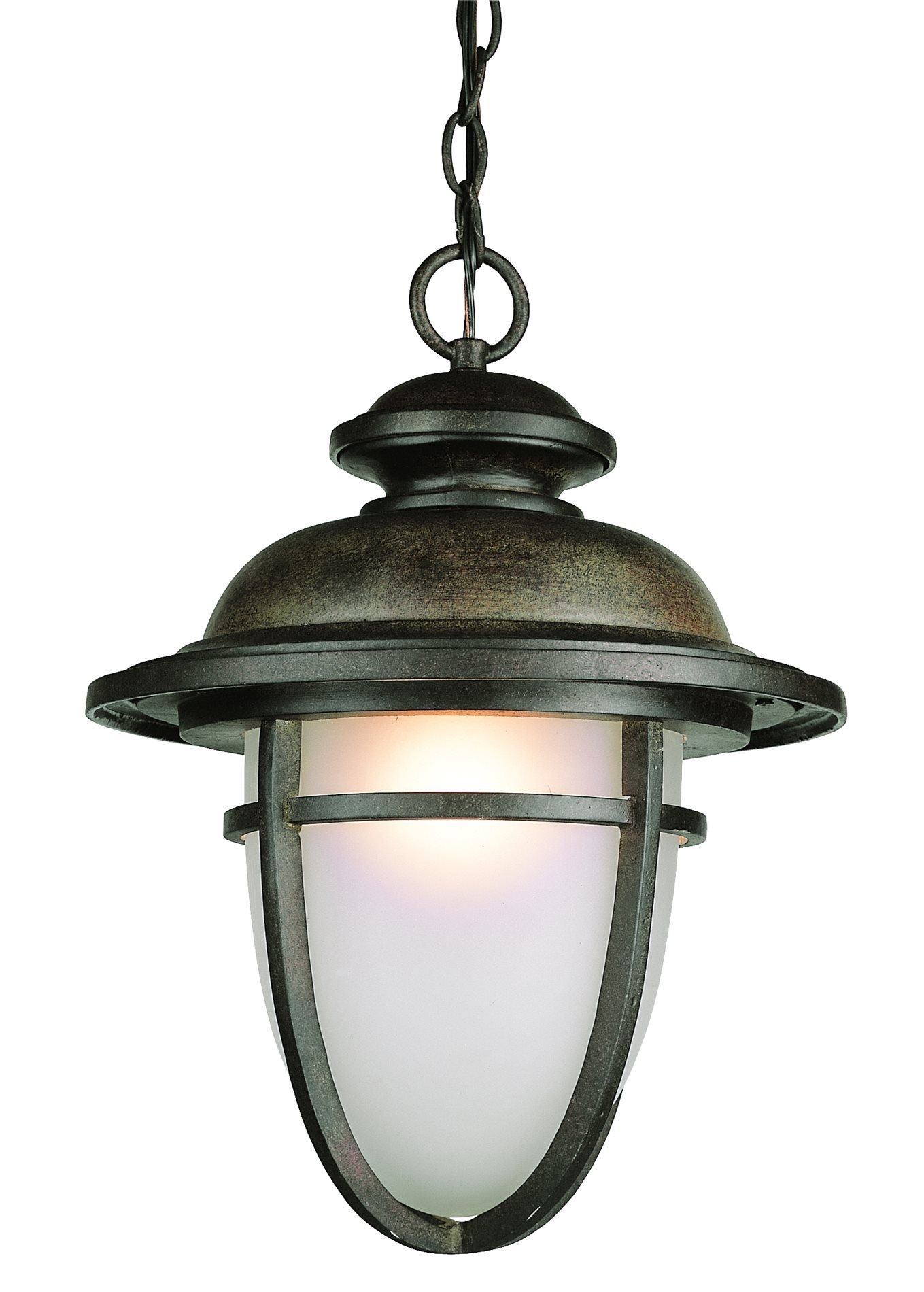 Craftsman And Traditional Detailing Draw The Eye In To This Trans Within Houzz Outdoor Hanging Lights (Photo 2 of 15)