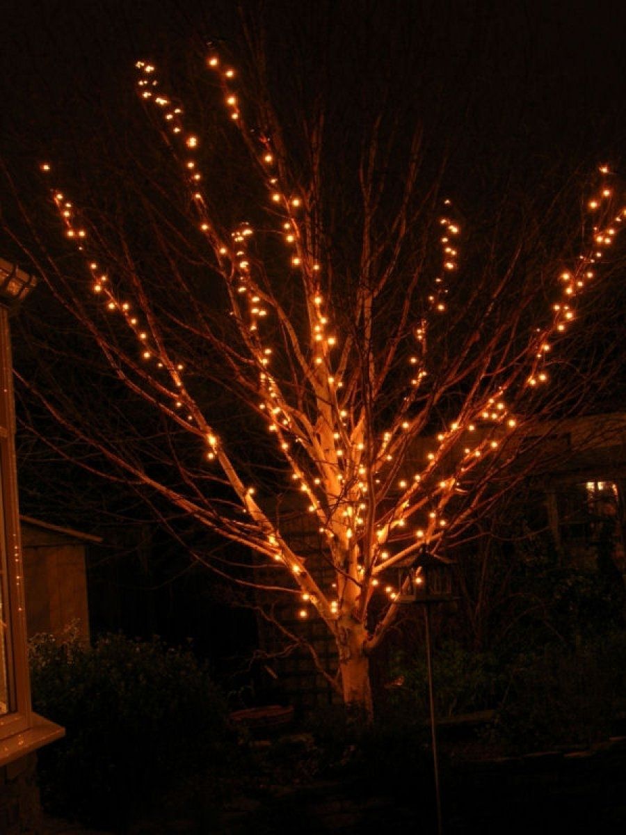Decoration Ideas Gorgeous Branches Christmas Tree And Small Lights Throughout Hanging Lights On Large Outdoor Tree (View 5 of 15)