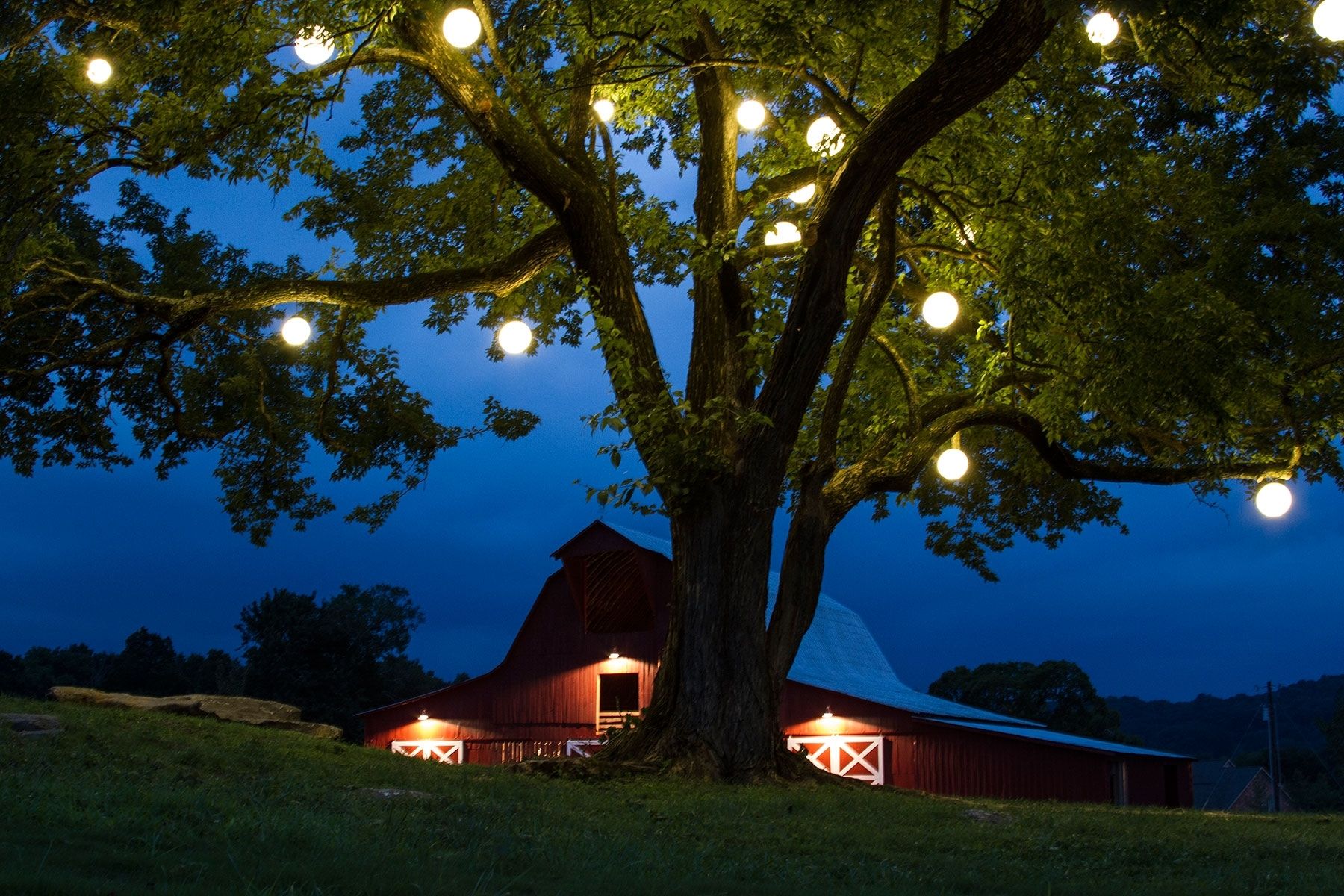 Diy : Appealing Large Outdoor Light Fixtures Hanging Low Voltage Throughout Hanging Outdoor Lights On Trees (Photo 2 of 15)