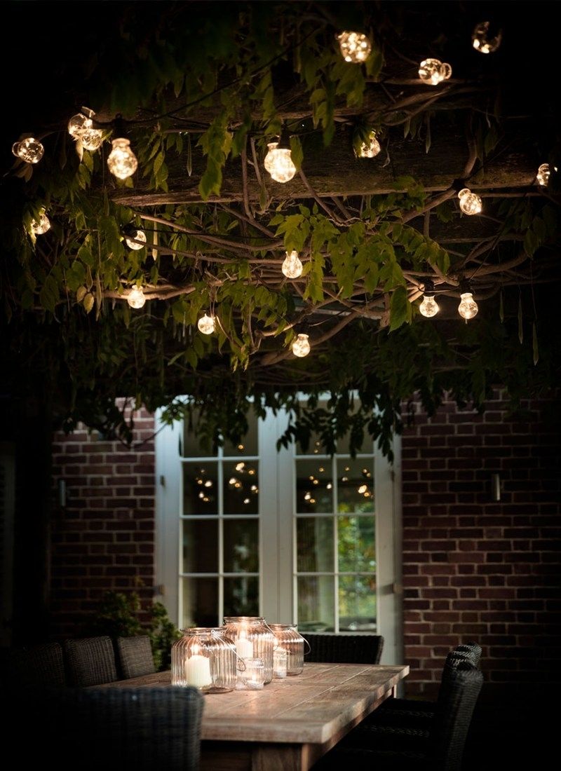 Festoon Lights, Classic – 20 Bulbs | Garden Trading Inside Hanging Lights In Outdoor Trees (View 5 of 15)