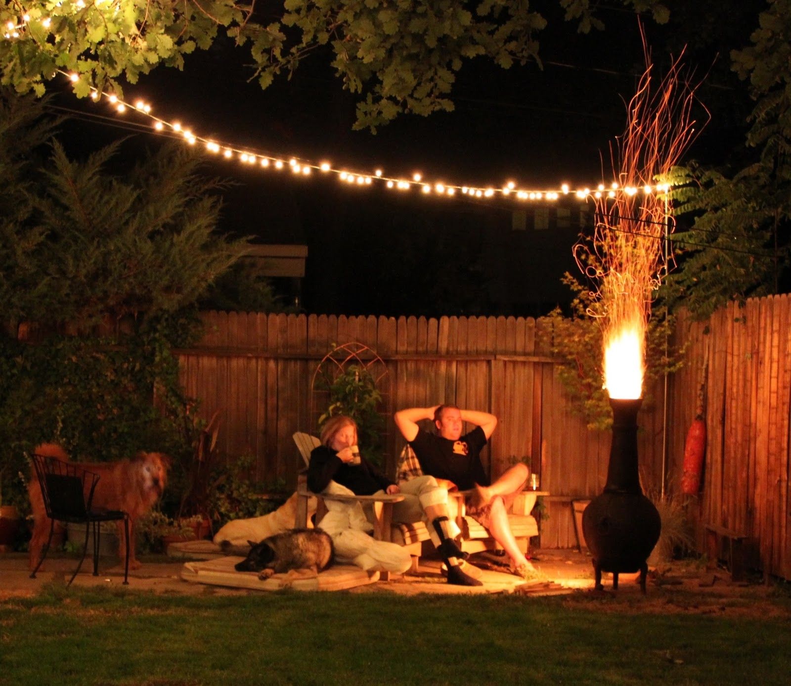 Garden String Lights”的图片搜索结果 | Garden Lighting | Pinterest With Regard To Outdoor String And Patio Lights (Photo 10 of 15)