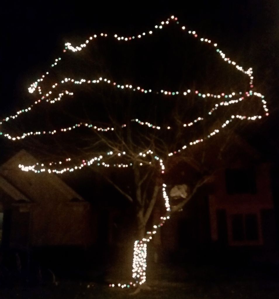 Featured Photo of 15 Inspirations Hanging Lights on Large Outdoor Tree