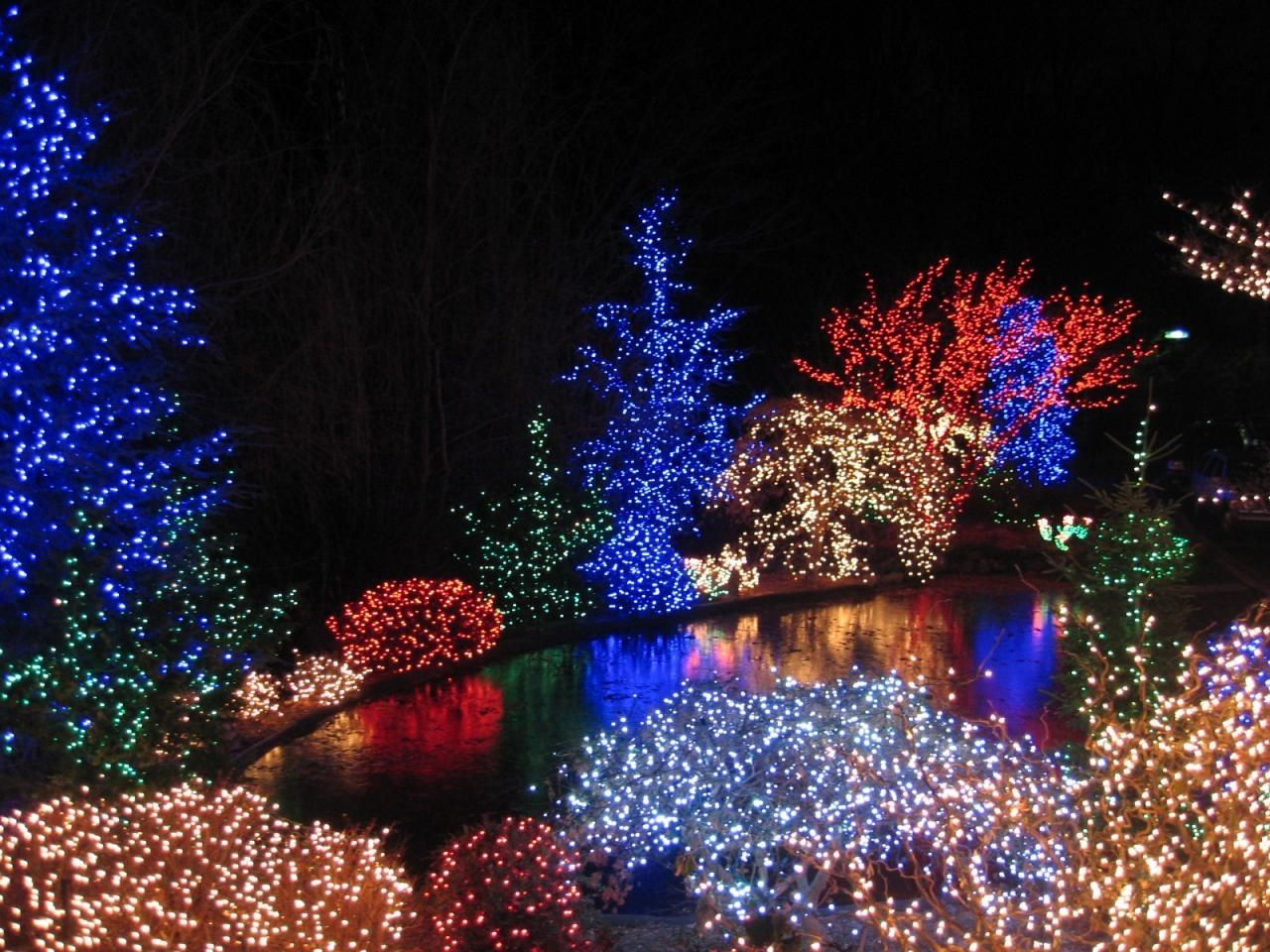 How To Hang Christmas Lights | Diy Inside Hanging Outdoor Christmas Tree Lights (Photo 12 of 15)