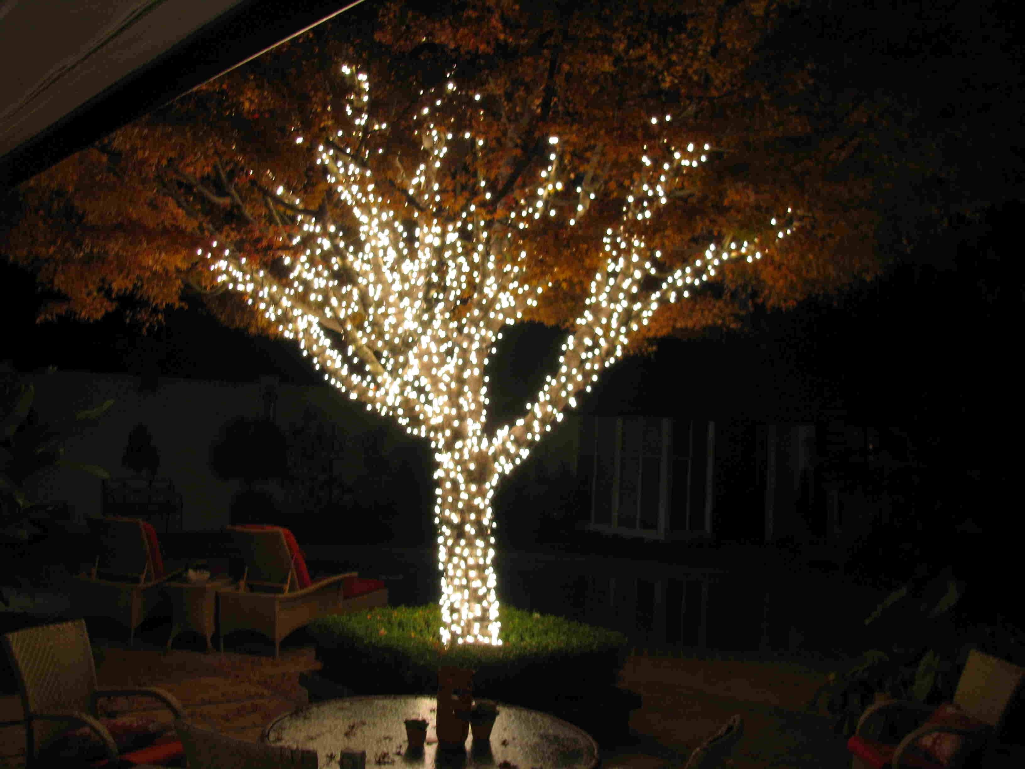 Lighting : Outdoor Tree Lighting Ideas Christmas Outside Light Throughout Hanging Lights On Large Outdoor Tree (Photo 8 of 15)