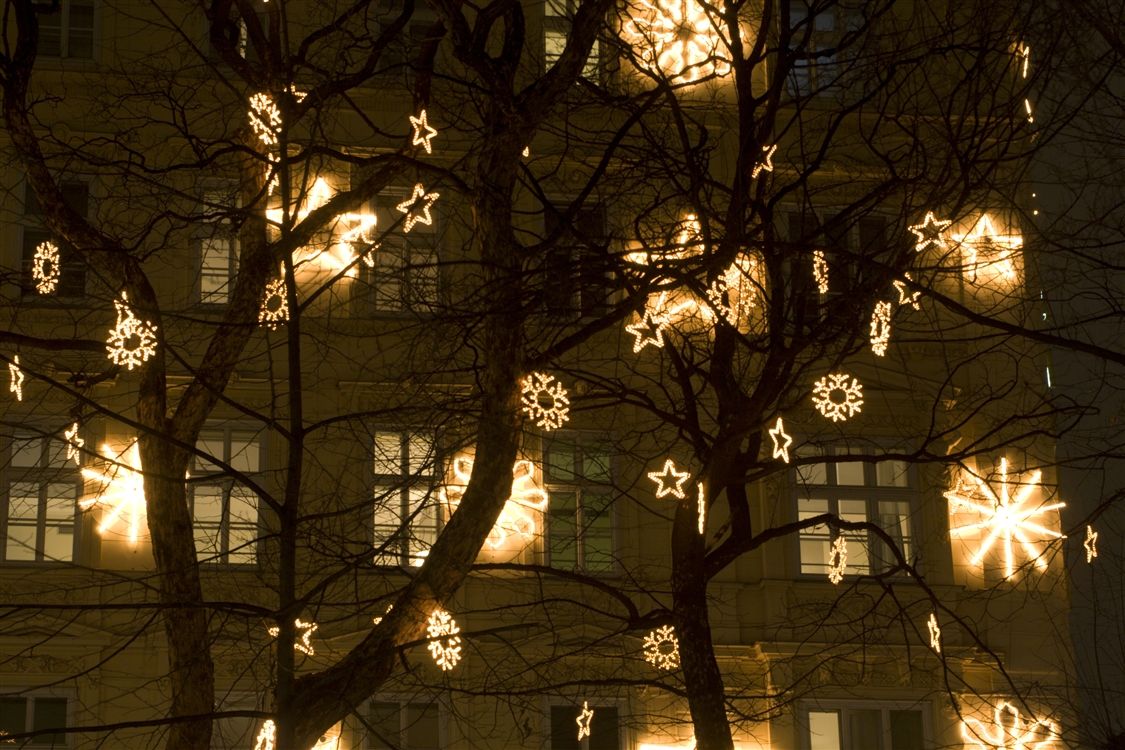 Featured Photo of 2024 Latest Hanging Outdoor Lights on Trees