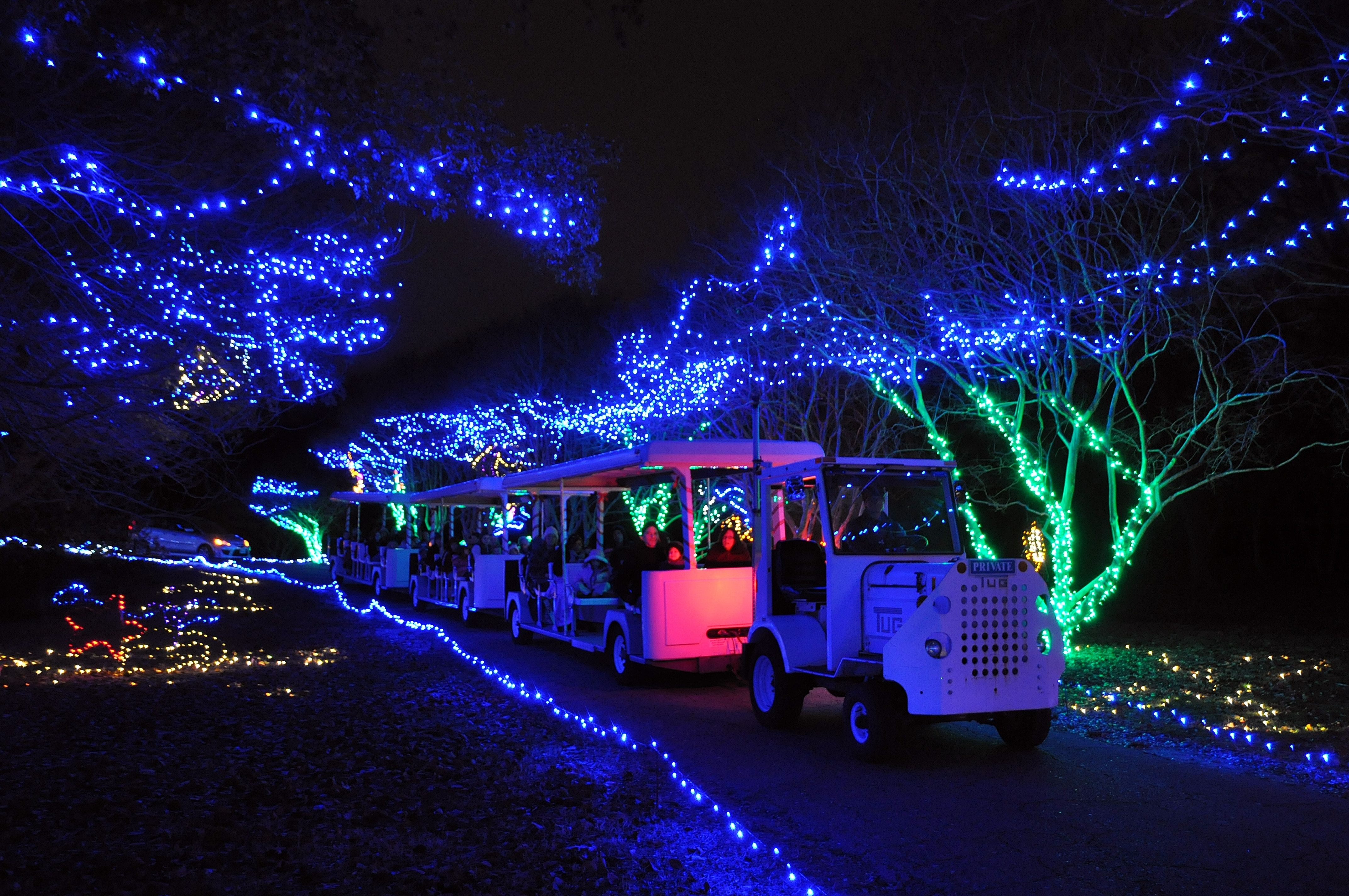 Nbg Express Tram Ride Only – 5:30pm Session 1  Sold Out – Norfolk Pertaining To Botanical Garden Lights (View 5 of 15)