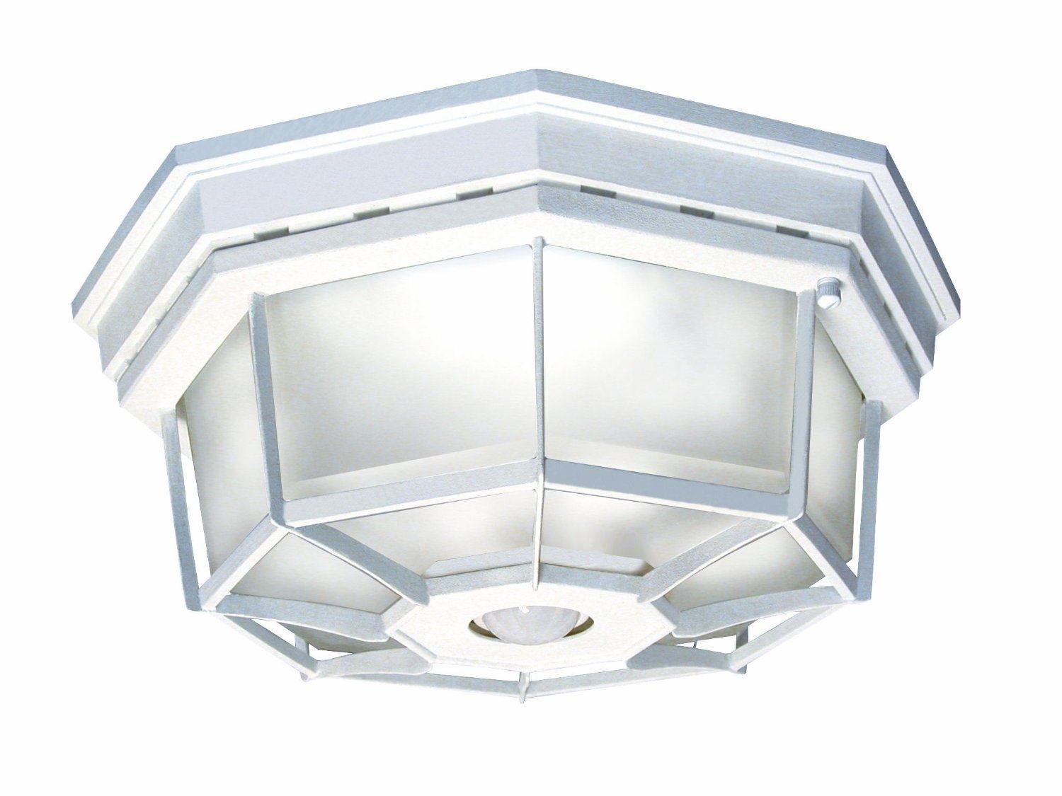 Outdoor Ceiling Motion Detector Light | Ceilling With Outdoor Ceiling Sensor Lights (Photo 1 of 15)