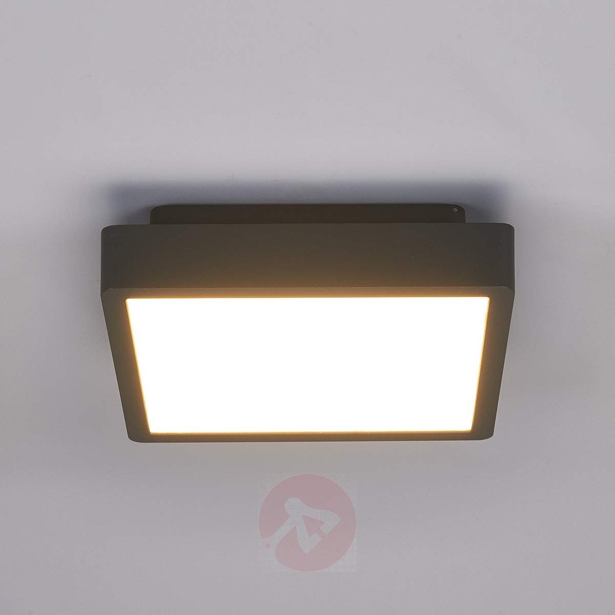 Rectangular Led Outdoor Ceiling Light Talea | Lights.co.uk Pertaining To Outdoor Ceiling Spotlights (Photo 1 of 15)