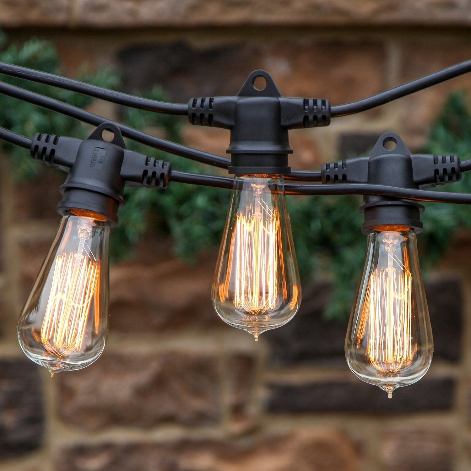 Rustic Landscape Light Bulbs : Landscape Light Bulbs: Spectacular Intended For Vintage And Rustic Outdoor Lighting (Photo 2 of 15)