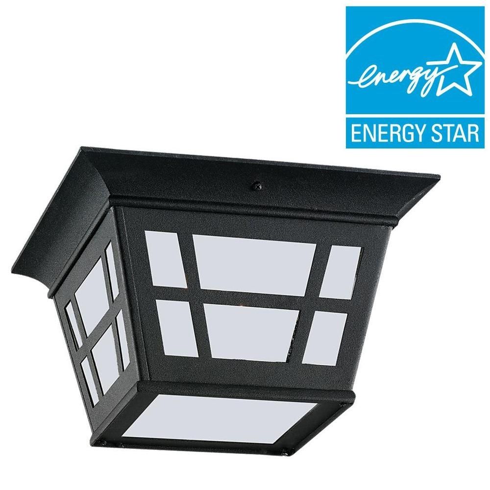 Sea Gull Lighting Herrington Black 2 Light Outdoor Flush Mount With In Outdoor Ceiling Mount Led Lights (View 14 of 15)