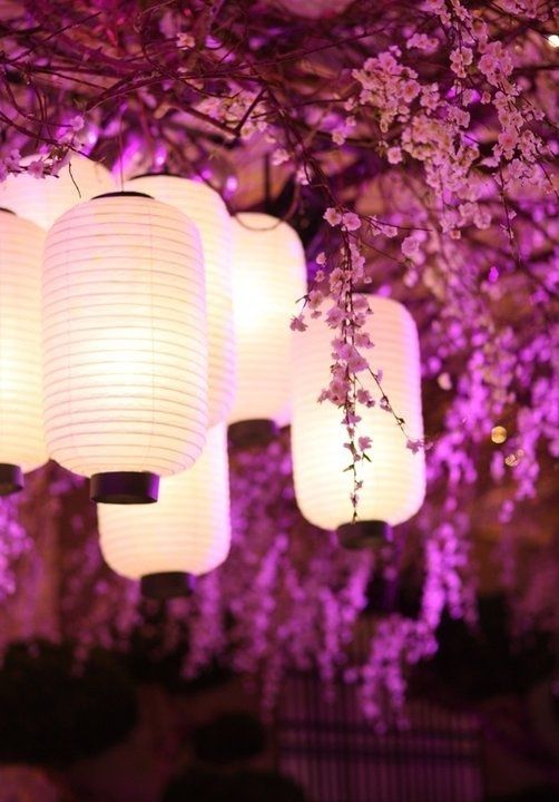 Japanese Lanterns | Rsvp | Pinterest | Japanese Inside Outdoor Hanging Japanese Lanterns (View 11 of 15)