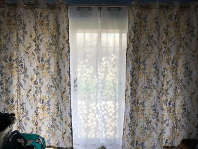 Exclusive Home Curtains 2 Pack Wilshire Burnout Sheer Grommet Top Curtain  Panels In Wilshire Burnout Grommet Top Curtain Panel Pairs (Photo 18 of 45)