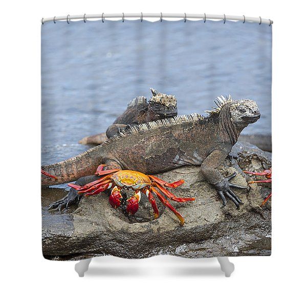 Sally Shower Curtains | Fine Art America Throughout The Gray Barn Gila Curtain Panel Pairs (View 27 of 48)