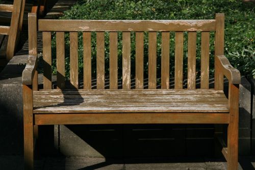 Bench Bank Forest Bank Seat Public Domain Image – Freeimg With Alfon Wood Garden Benches (View 20 of 20)