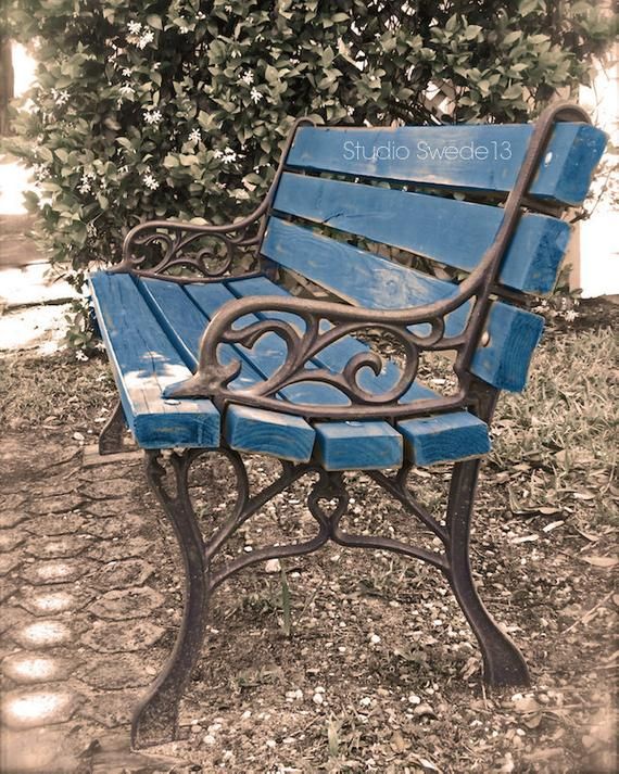 Garden Bench Photo, Bench Art, Navy Bench Print, Rustic Cottage Farmhouse  Art, Blue Bench, Abstract Park Bench Still Life  "waiting In Vain" With Regard To Tree Of Life Iron Garden Benches (View 12 of 20)