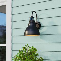 Galvanized Barn Light | Wayfair With Ranbir Oil Burnished Bronze Outdoor Barn Lights With Dusk To Dawn (View 9 of 20)