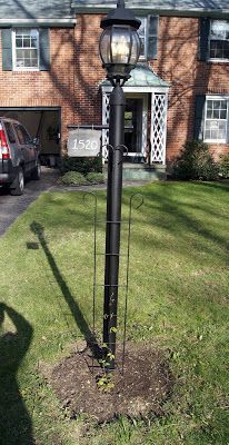 Life In Robin's Nest | Garden Love | Garden Lamp Post With Tilley Olde Bronze Water Glass Outdoor Wall Lanterns (Photo 5 of 20)