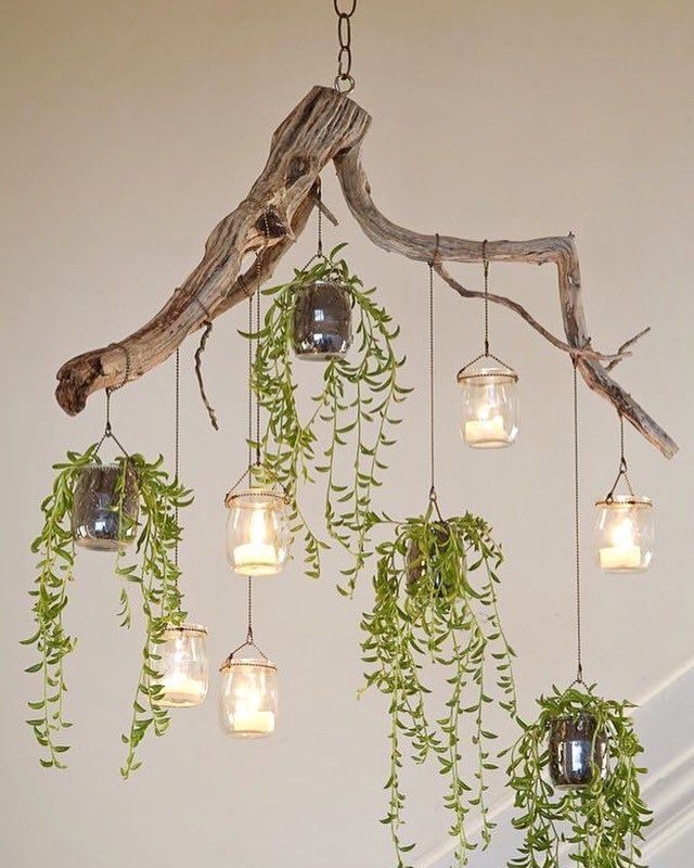 Upcycle That On Twitter: "lovely Green Driftwood Chandelier #upcycle  #succulents Https://t (View 12 of 15)