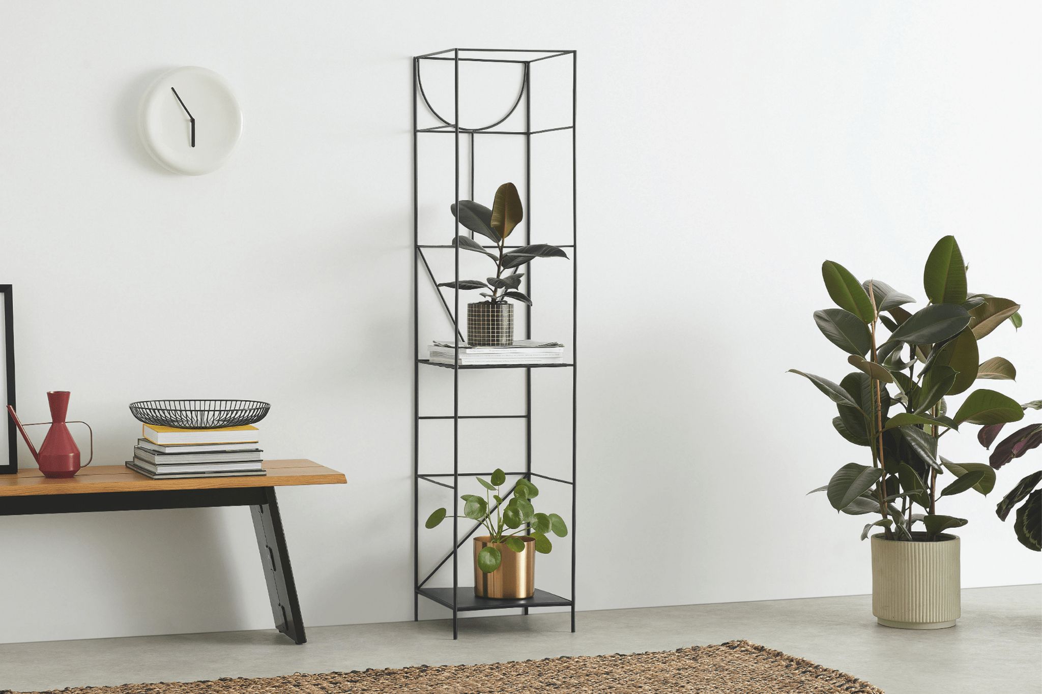 10 Of The Best Indoor Plant Stands | Bbc Gardeners World Magazine Pertaining To Tall Plant Stands (View 5 of 15)
