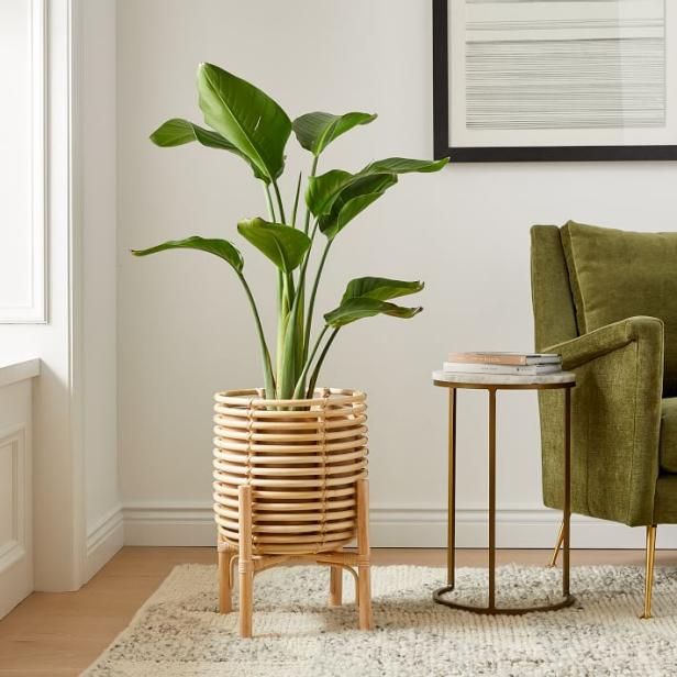 12 Best Plant Stands 2022 | Hgtv For Indoor Plant Stands (Photo 6 of 15)