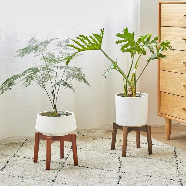 12 Best Plant Stands 2022 | Hgtv With Bronze Small Plant Stands (Photo 15 of 15)