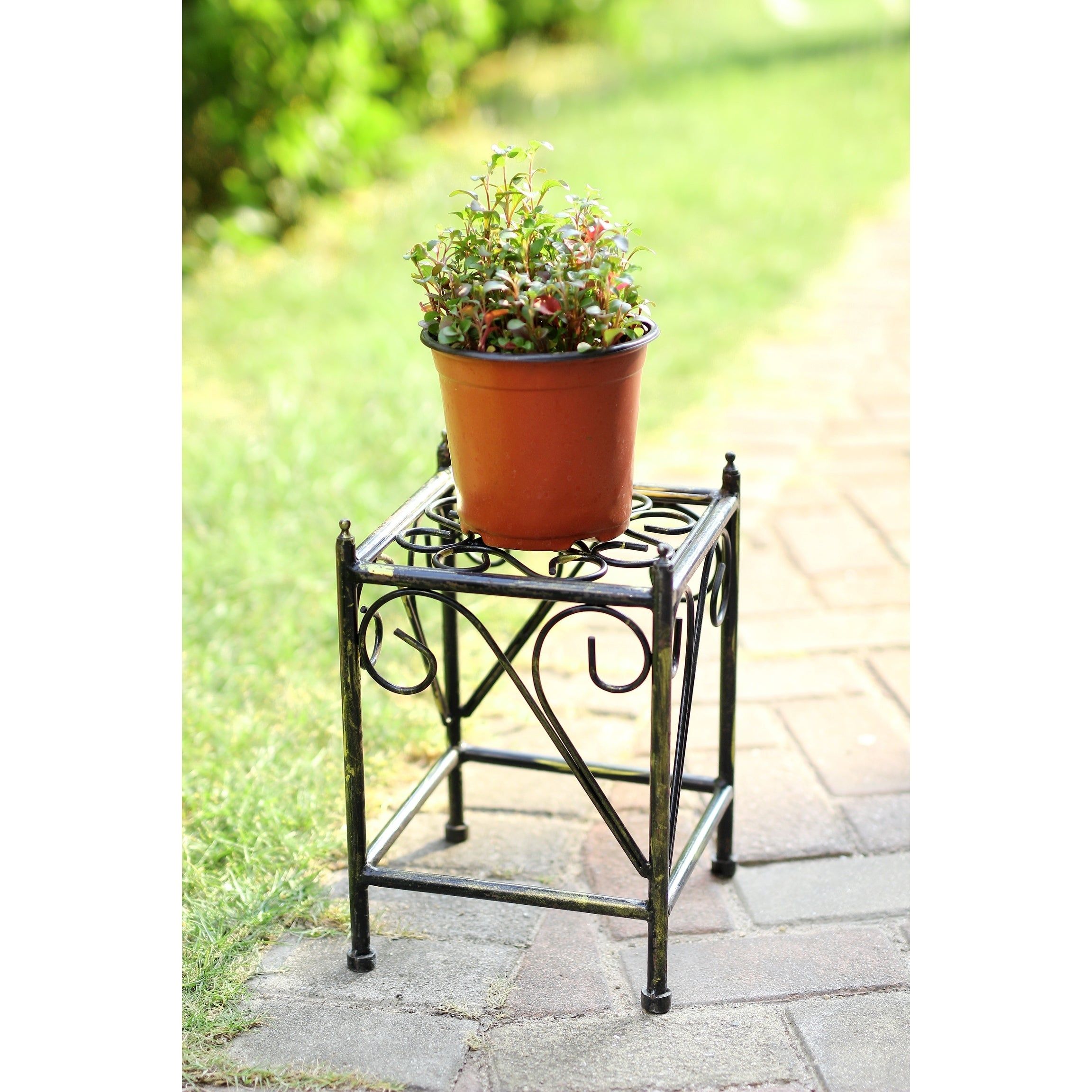 13 In Small Lattice Square Cast Iron Plant Stand – On Sale – Overstock –  18802083 Throughout Iron Plant Stands (View 10 of 15)