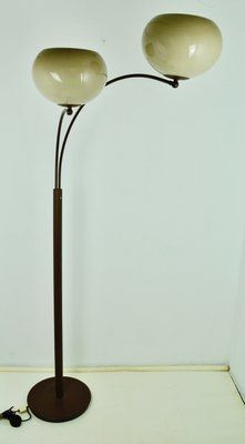 2 Arm Floor Lamp From Dijkstra Lampen, 1960s For Sale At Pamono For 2 Arm Floor Lamps (View 7 of 15)
