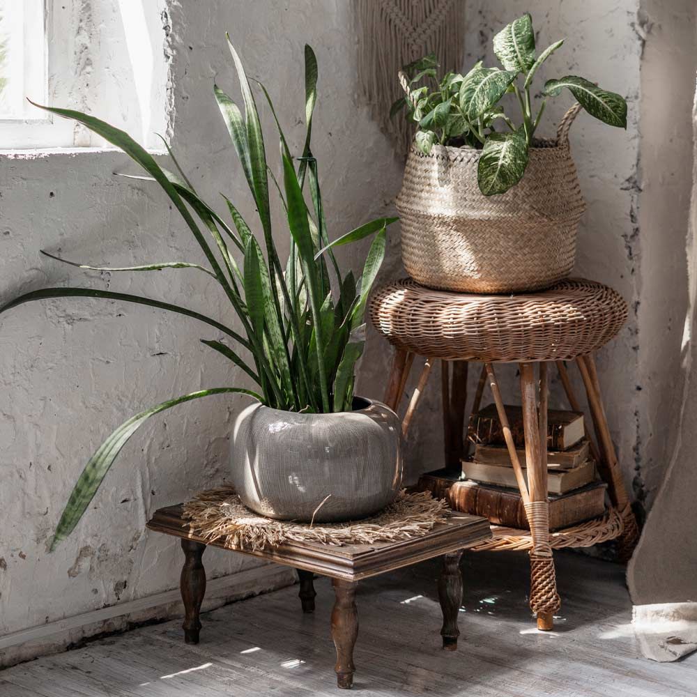 31 Exclusive Plant Stand Ideas To Introduce Into Your Interior Intended For Rustic Plant Stands (Photo 3 of 15)